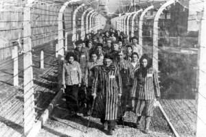 Femmes Auschwitz