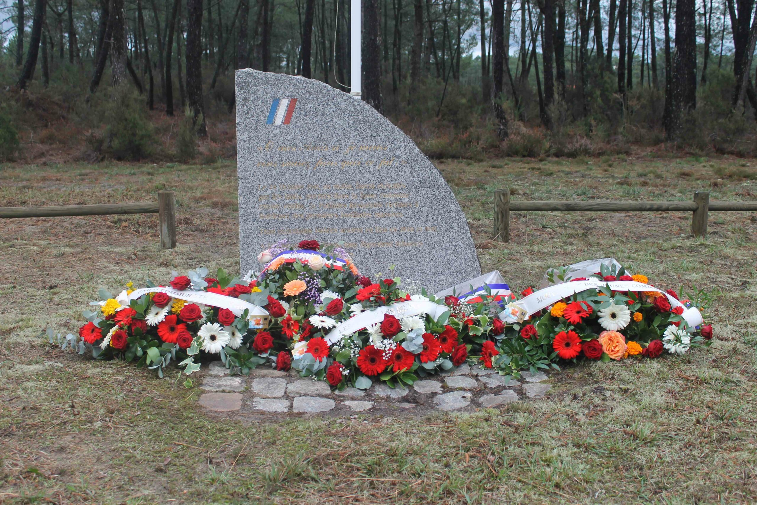 2024_gerbes_ enceinte_1